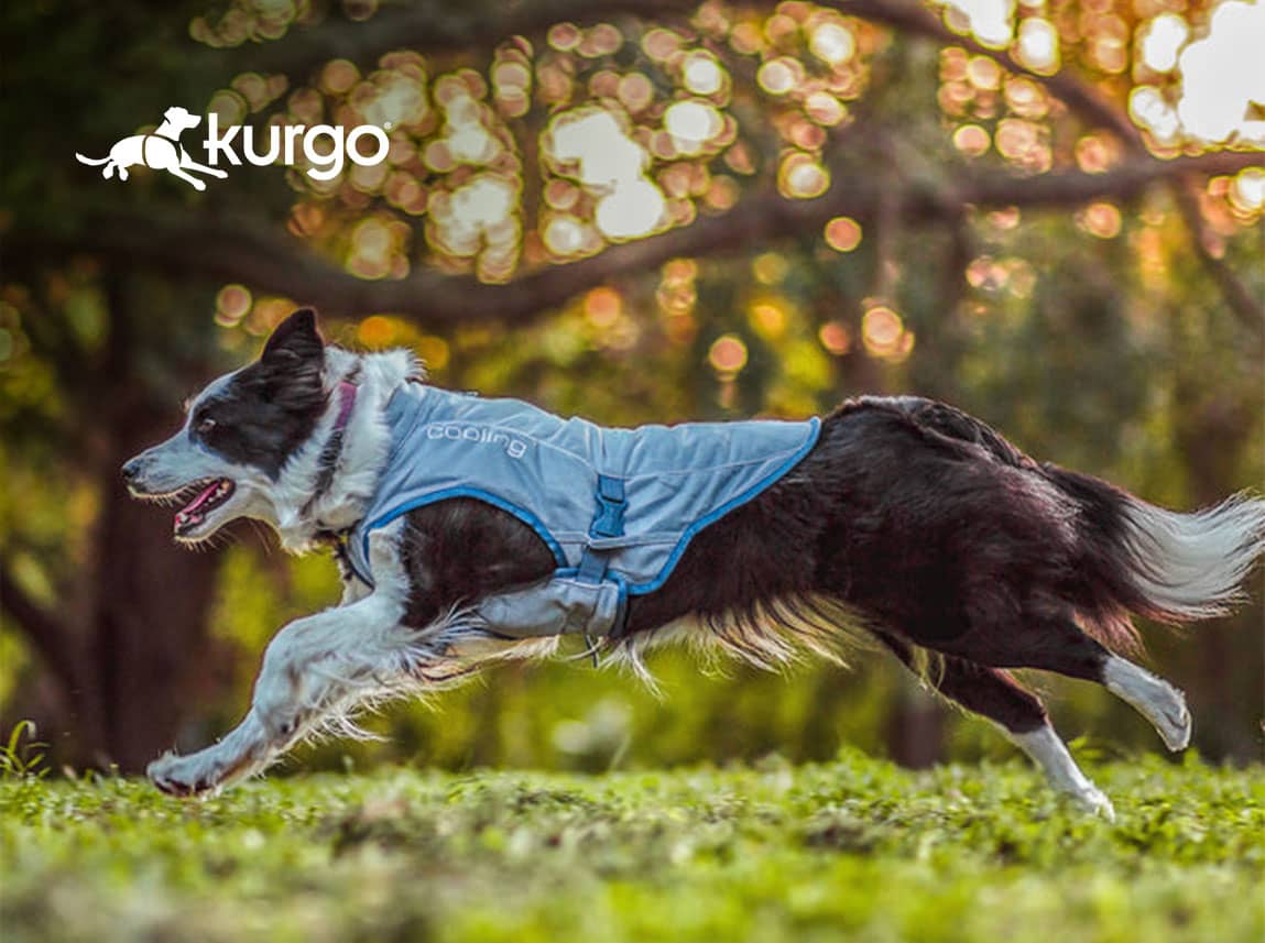 Kurgo Cooling Vest for Dogs for sale at FarmVet.com.
